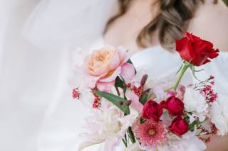 Alyssa Bray Events - 14