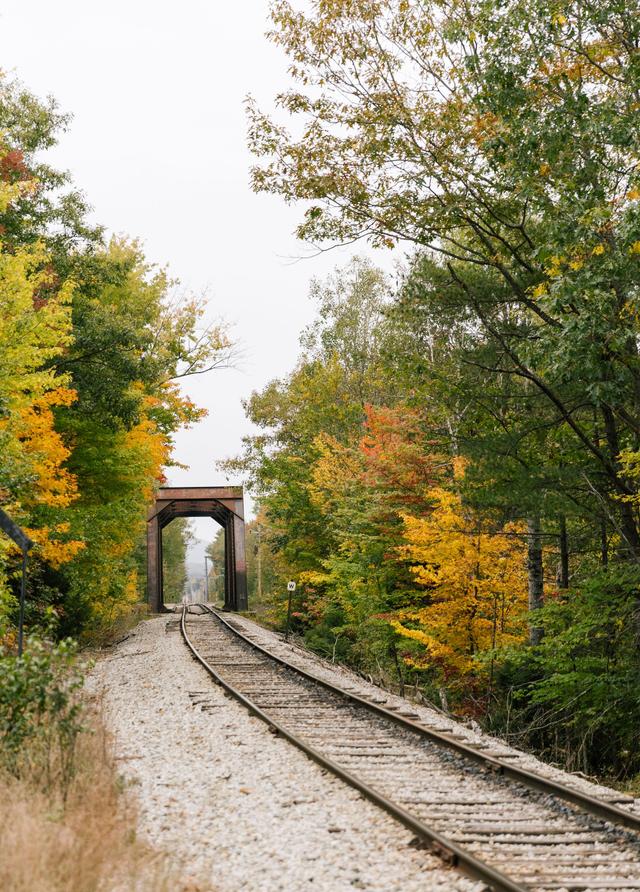 100-Acre Wood Weddings - 2