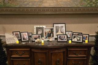 Villa Barone Hilltop Manor - 5