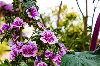 Everyday Photography - 6