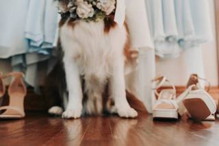 April Pinto Photography - 16