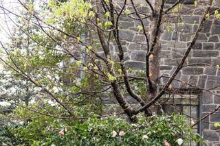 LaneLee Weddings and Events - 9