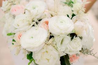 Strelitzia Flower Company - 15