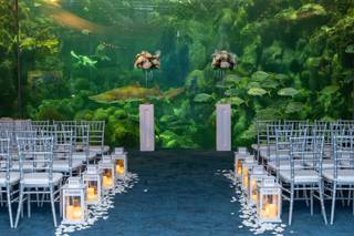 Lemon Drops Weddings & Events - 10