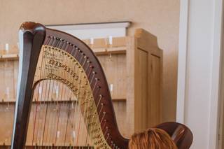 Erin Baker Harpist - 5