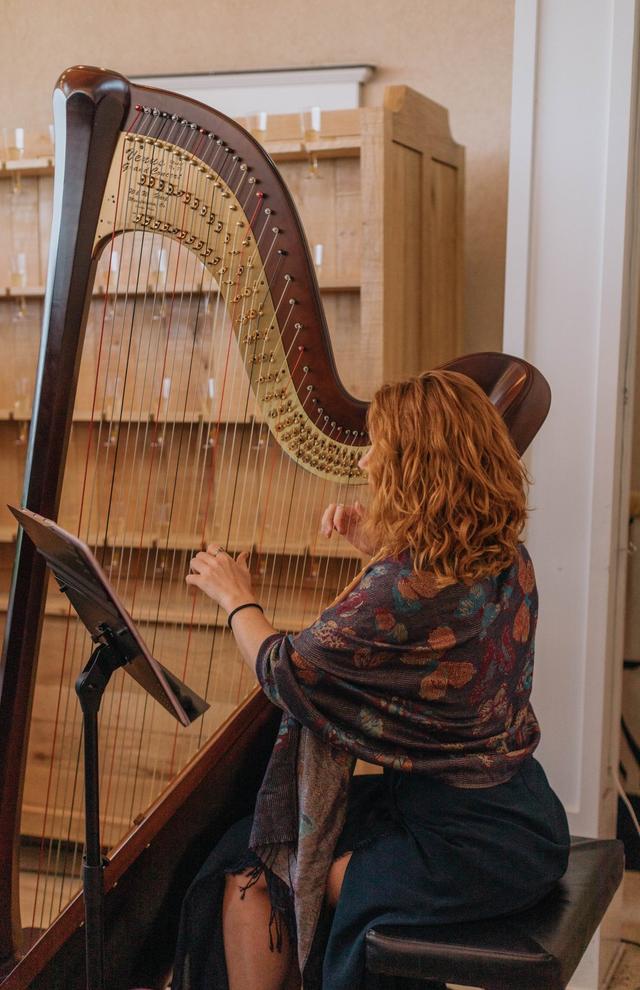 Erin Baker Harpist - 2