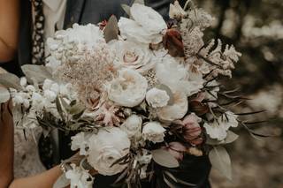 Petal & Wren - 52