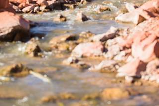 Robert Godridge Photography - 45