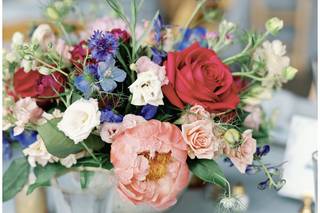 Brigitte Renee Photography - 8