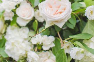 Everlasting Flowers - 35