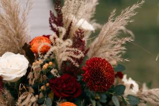 Carolyn Marie Photography - 7