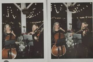 Musical Heart Strings - 8