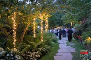 Crimson Haze Event Lighting - 92