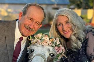 Haul N Ass Productions - 37