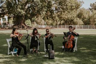 Clover String Quartet - 6