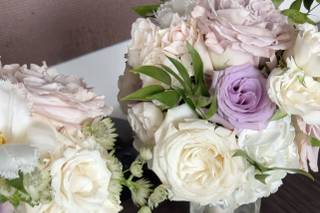 Daydream Floral - 19
