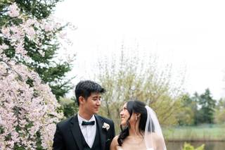 Mishabook Photography - 4