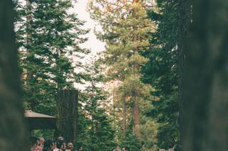 AJ Photography - 37