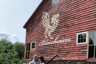 BLENHEIM HILL FARM - 45