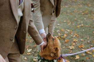 Arius Photography - 5