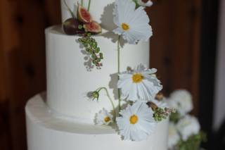 Mary Elizabeth Events - 19