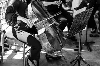 Carolina Royal Strings - 5