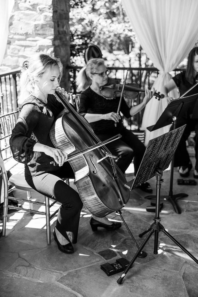 Carolina Royal Strings - 2