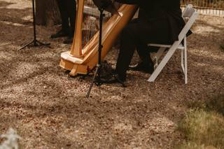 Cherrywood String Quartet and Ensembles - 11
