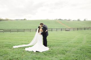 Still Meadow Farm - 7