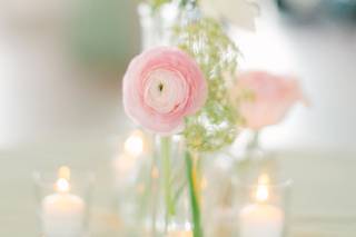 Carolina Roses - 32