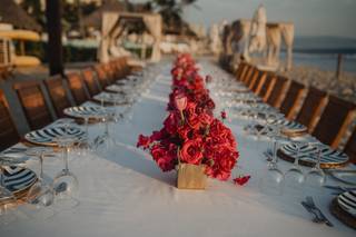 Carolina Almazan Event Planner & Designer - 26