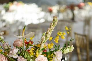 R Flowers and Baskets - 10