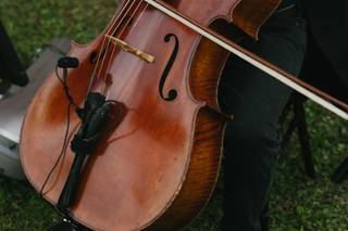 Classern String Quartet - 5