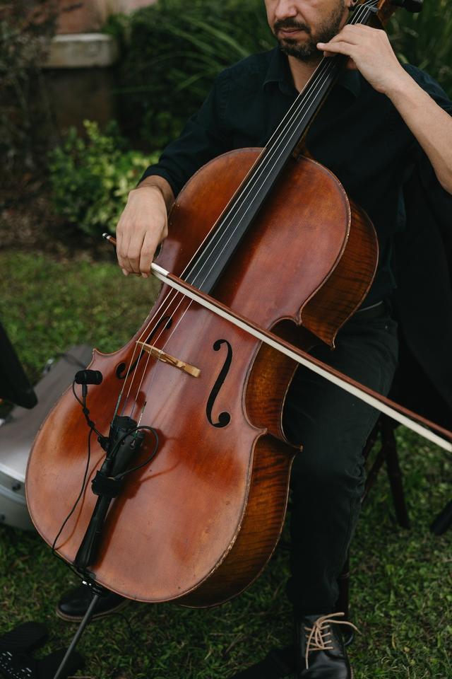 Classern String Quartet - 2