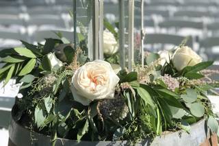 Soleil Flowers - 147