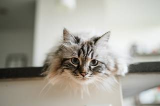 Gina Brocker Photography - 9