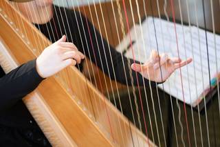 Jessica Cordner Harpist - 5