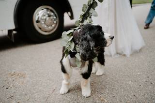Lauren Hawkins Photography - 21