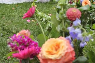 Missy in the Meadow LLC - 6