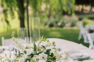 ALL ABOUT EVENTS - 7