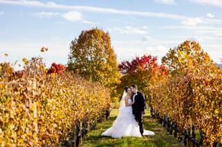 King Family Vineyards - 9