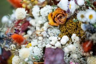 Marshall Graham Photography - 5