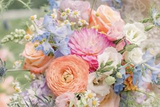 Occasions by Emily - 5