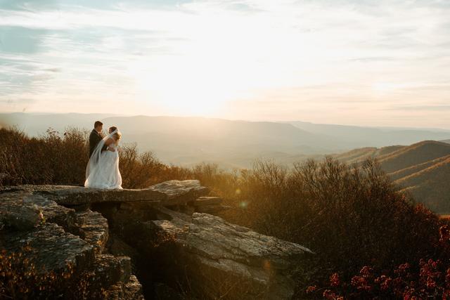 Hannah Lee Photography - 1