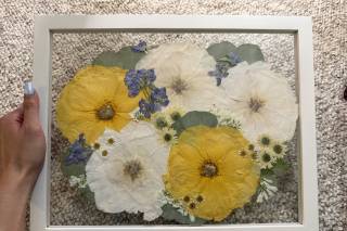 White Poppy Preservation - 9