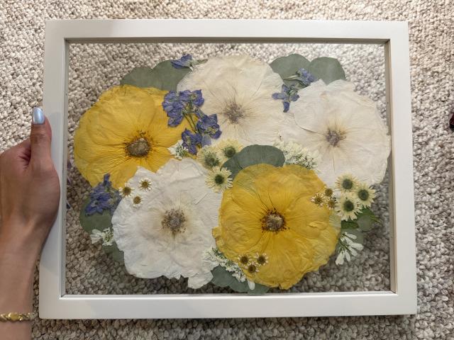 White Poppy Preservation - 1