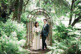 Clean Plate Pictures - 7