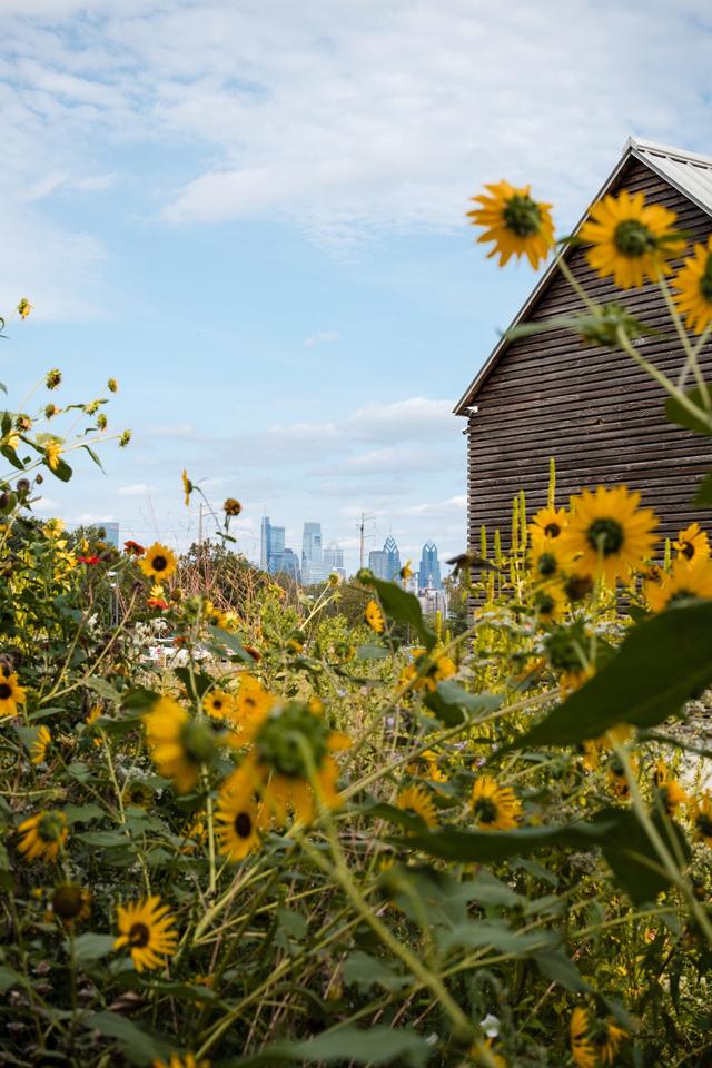 Bartram's Garden - 2