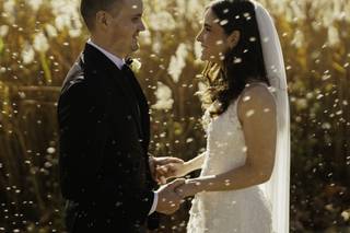 Paul Francis Photography - 7