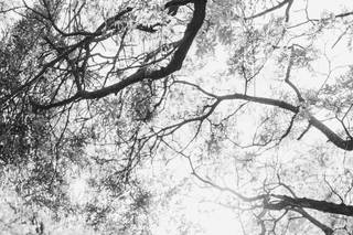 Duet Photography & Video - 37